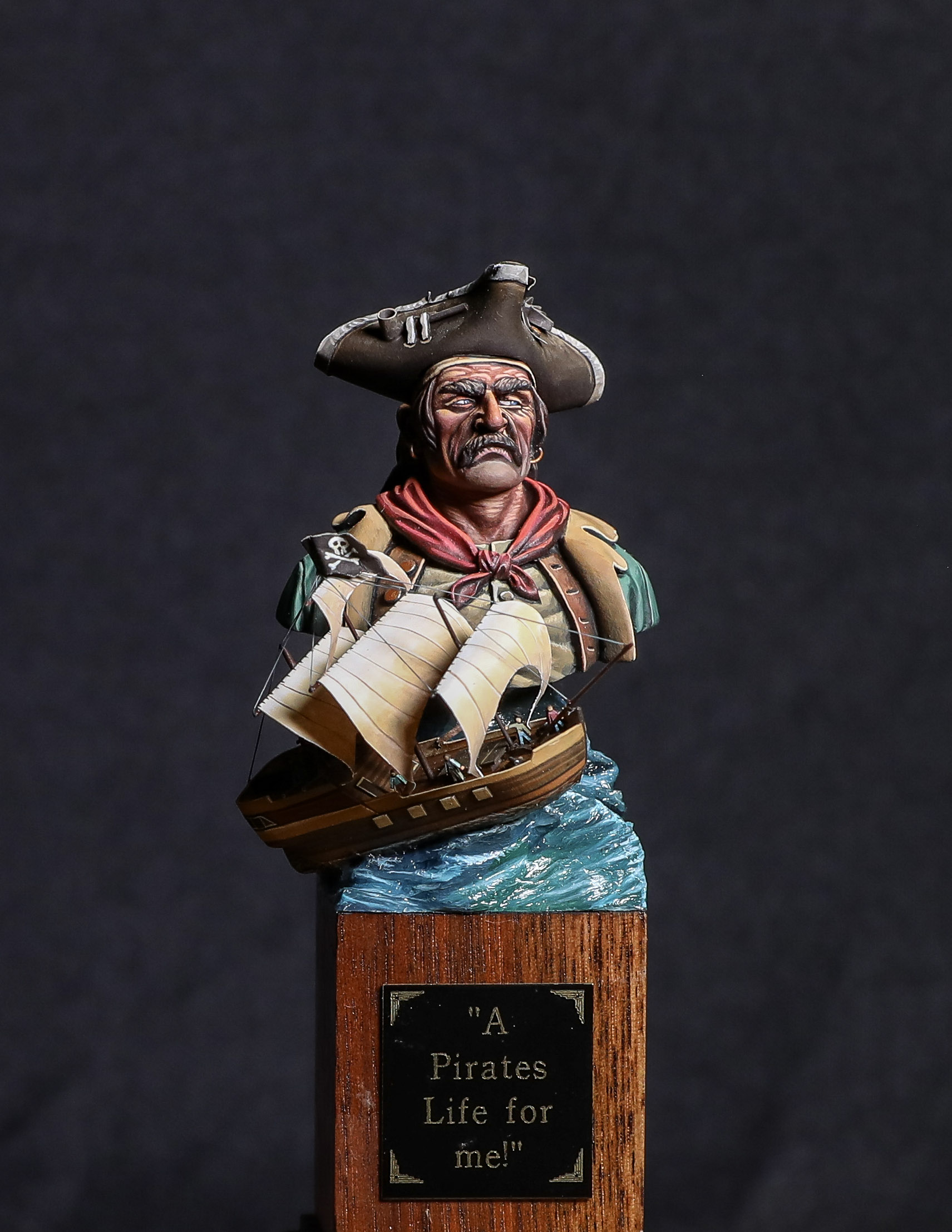 A pirates life for me by Doug Cohen