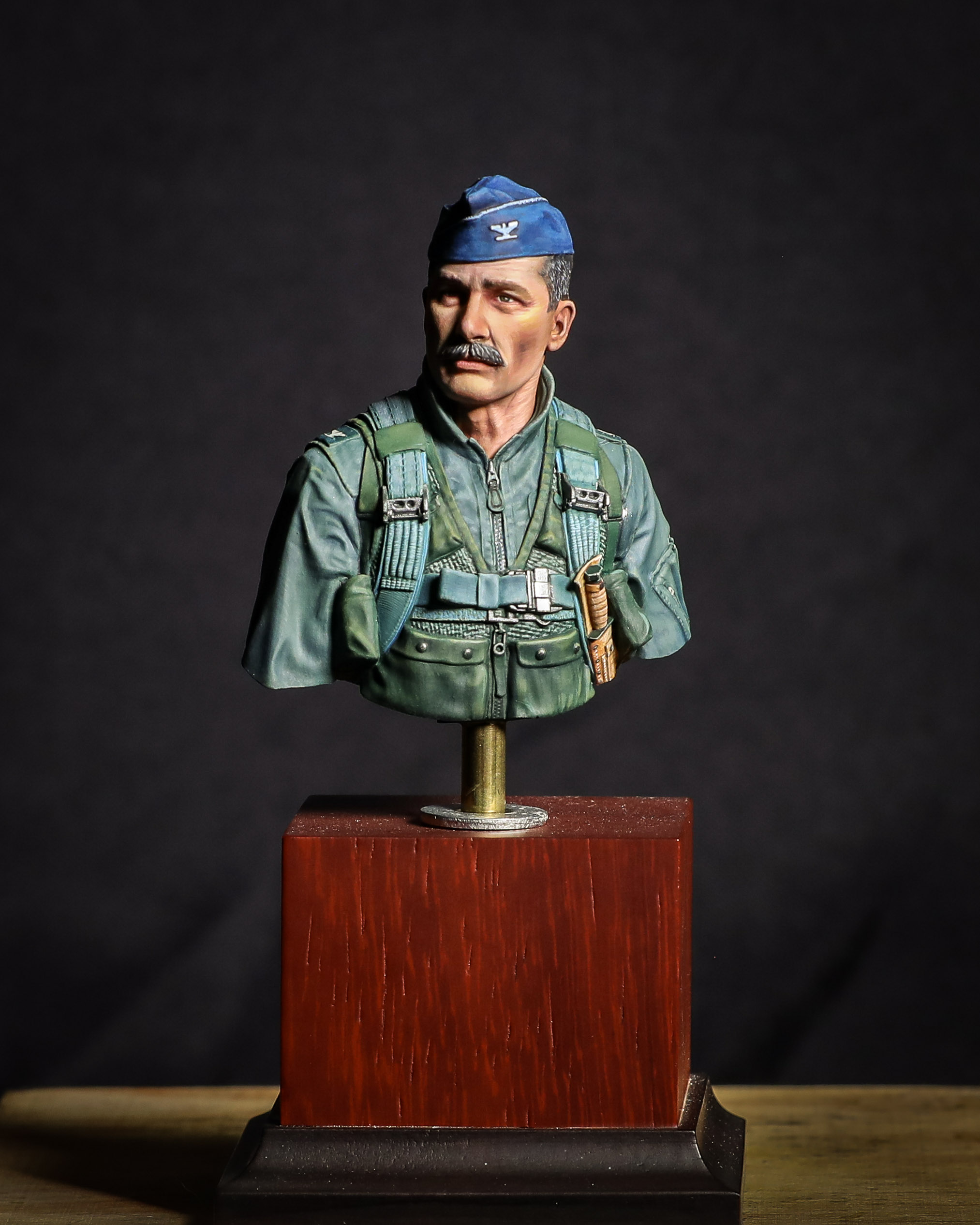 Colonel Robin Olds by Mark C Howard