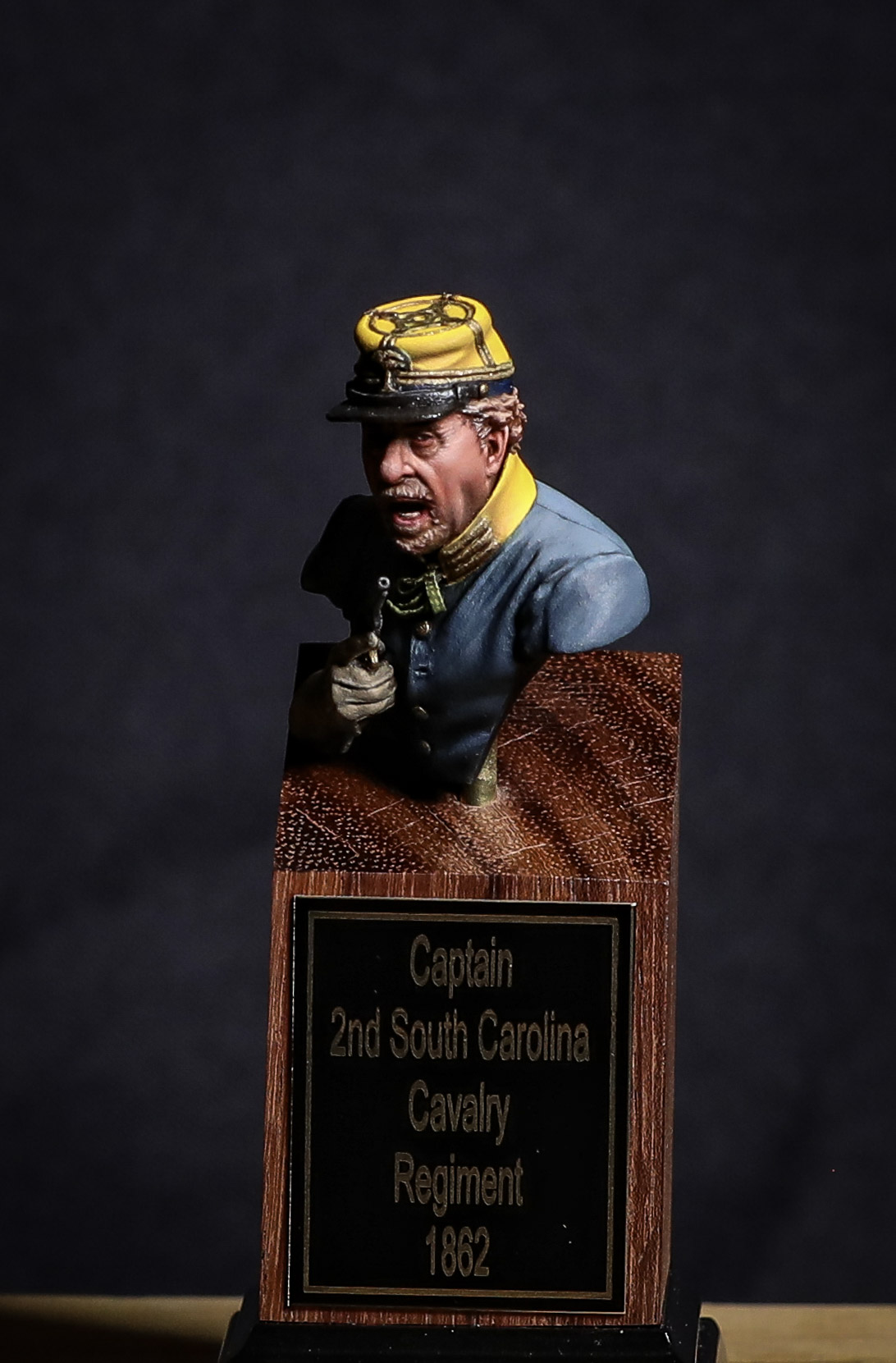Captain, 2nd South Carolina Cavalry, 1862 by Doug Halke