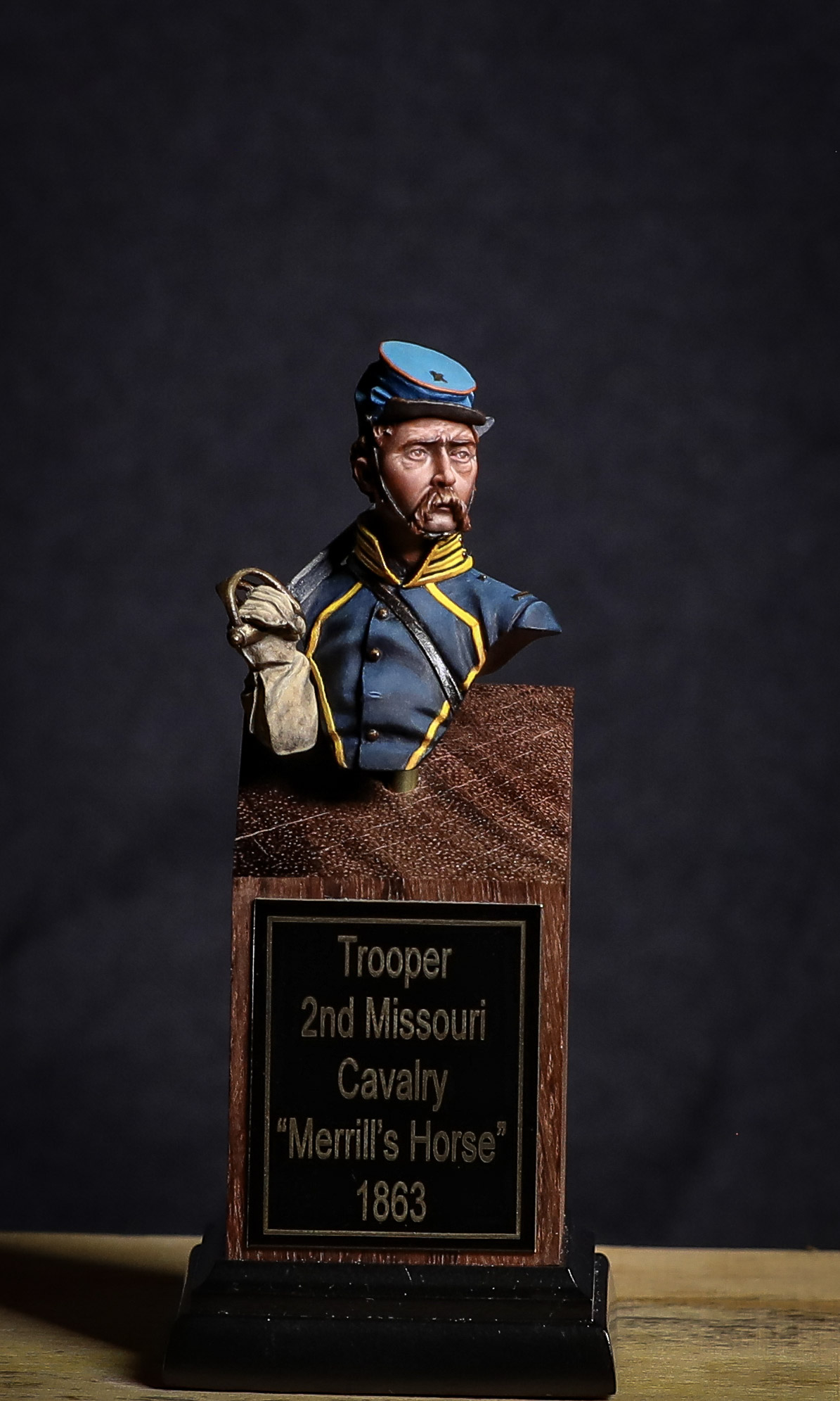 Trooper, 2nd Missouri Cavalry "Merrill's Horse", 1863 by Doug Halke
